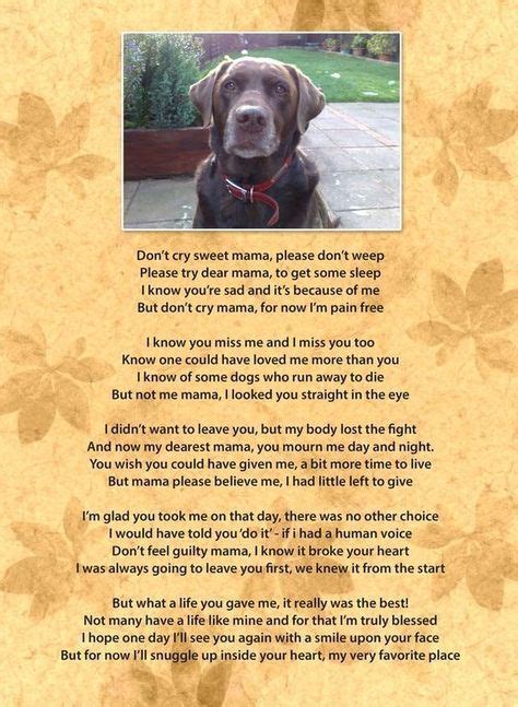 Dog Poems Dogs Dog Quotes