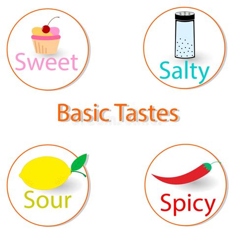 Basic Tastes Vector Illustration Infographics Stock Vector