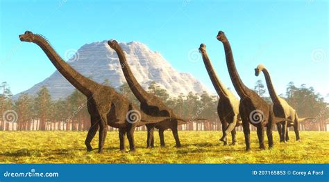 Brachiosaurus Altithoraxthe Largest Dinosaur Had Long Neck Big Animal