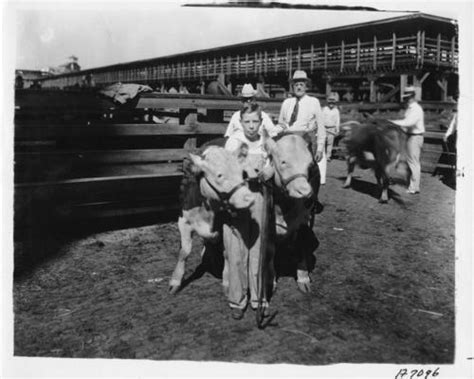 Stockyards Kansas City Kc History