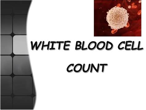 Ppt White Blood Cell Count Powerpoint Presentation Free Download