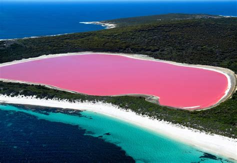 Discovering The Bubblegum Pink Lakes Of Western Australia