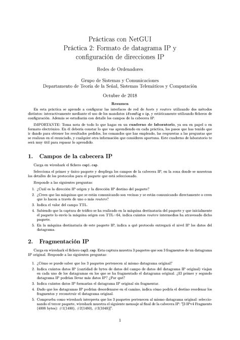 P3 Clase Prácticas Con Netgui Práctica2formatode Datagrama Ipy Con