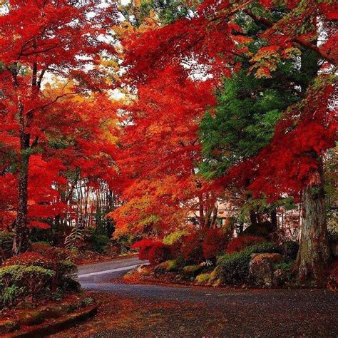 Gorgeous Autumn In Nikko Japan Photo By Rockbelz Autumn Scenery