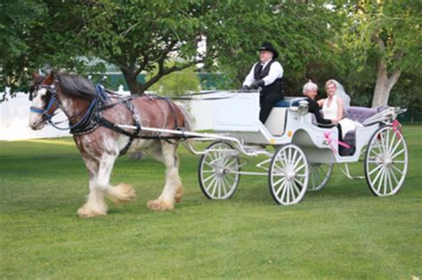 5 Must Know Tips For Planning Your Wedding Transportation