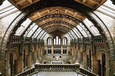 Natural History Museum Of London Private Tours London City Tours