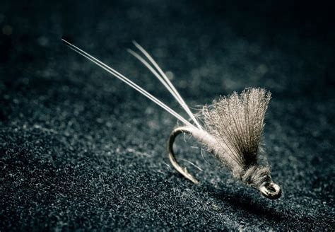Rs2 One Of My Favorite Picky Trout Fly Patterns Fly Fishing Gink
