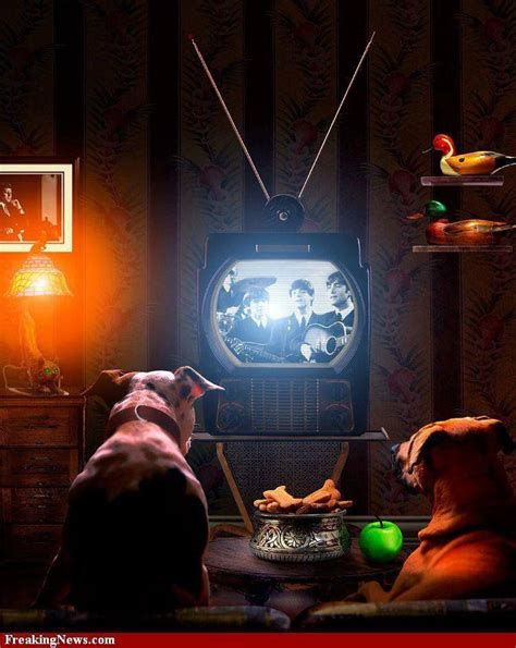 Dogs Love Them Too Beatles Band The Beatles Watch Dogs Treasure Hunt
