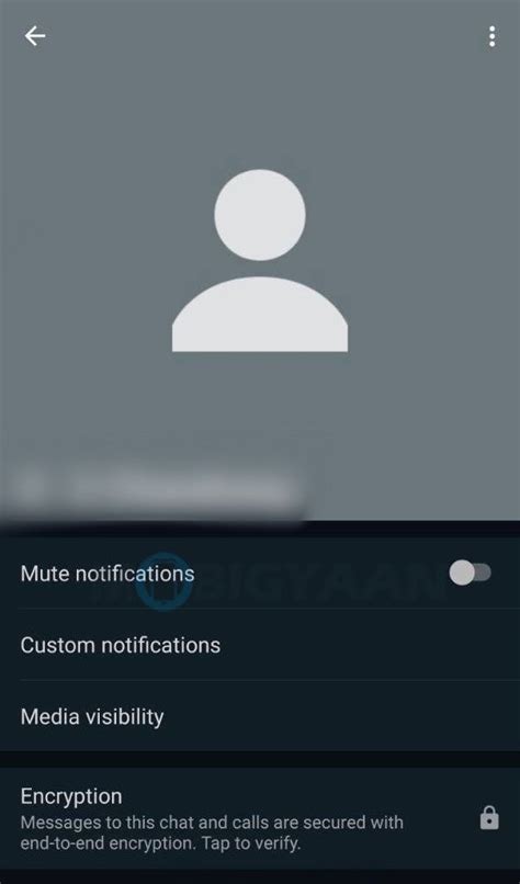 Pfp Default Whatsapp No Profile Picture Icon
