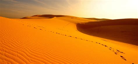 Desert Oasis meditation for deep recharge | Meditainment