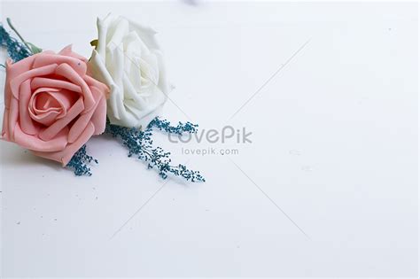 Cari Gambar Bunga Berlatar Putih