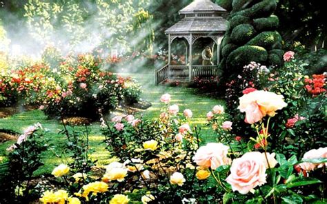 70 Rose Garden Wallpaper