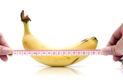 here is the average penis length according to science