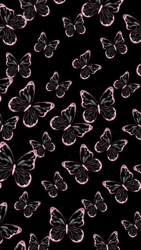 Wallpaper Attractive Black Butterfly Images Download Free Mock Up