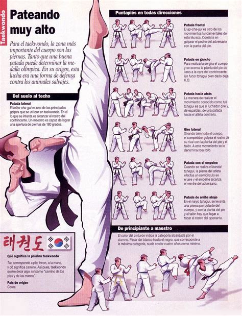 Taekwondo Técnicas De Artes Marciales Tecnicas De Taekwondo