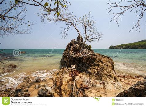 Libong Island Koh Libong Trang Thailand Stock Photo Image Of Natural Coastal