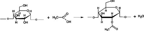 Starch Acetylation Reaction Download Scientific Diagram