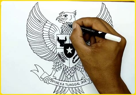 Cara Menggambar Burung Garuda Pancasila Dengan Pensil Sketsa Burung
