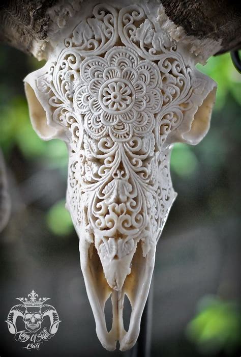 Deer Skull Art Cow Skull Decor Ram Skull Deer Skulls Animal Skulls