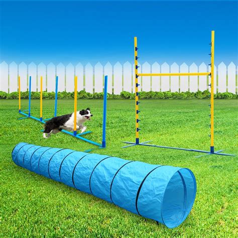 Dog Agility Training 3 Piece Combo Set Crazy Sales