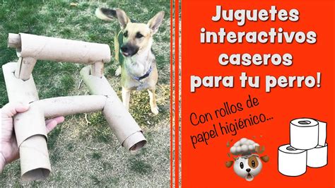 Juguetes Interactivos Caseros Para Perros Con Rollos De Cartón Youtube