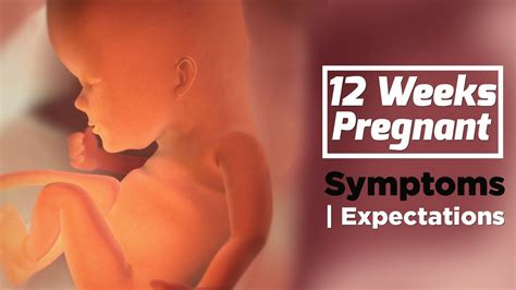 12 weeks pregnant pregnancy week by week symptoms the voice of woman youtube