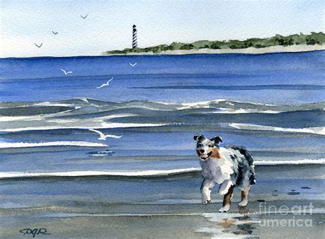 Australian Shepherd At The Beach Painting By David Rogers