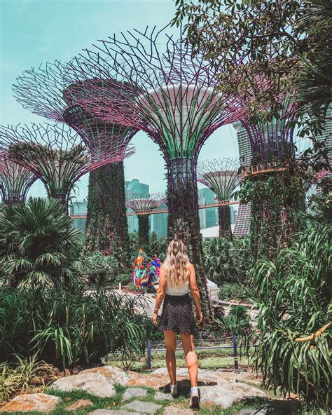 Guide To Singapores Gardens By The Bay Wellness Travelled