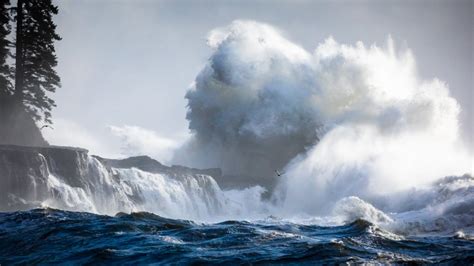 Bc Photographer Captures Coastal Storm Chaos Ctv News