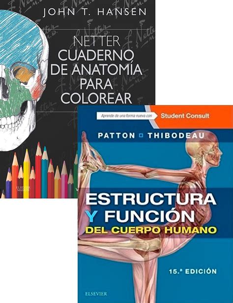 Producto Lote Netter Cuaderno De Anatomia Para Colorear Estructura Y