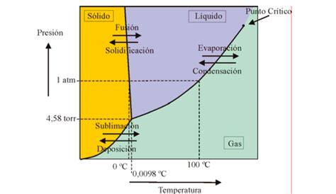 Diagrama Fase De Equilibrio Agua MetalografÍa Universidad