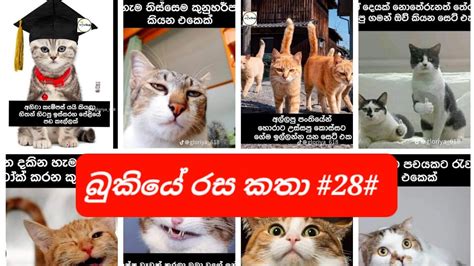 බුකියේ රස කතා Sinhala Funny Fb Memes Sinhala Funny Fb Post Sl 202305
