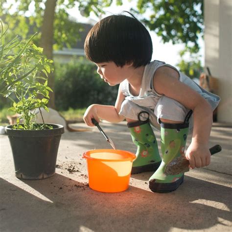 9 Best Child Safe Plants 2019 The Strategist