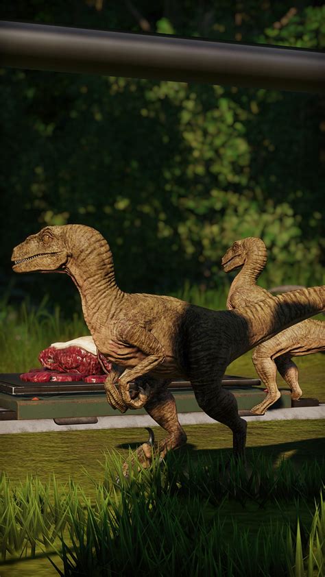 Velociraptors Look Great In The Jungle Jurassicworldevo