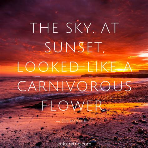 Using sunset quotes, you can give a chilling traveling atmosphere within the picture of sunset. 13 Literary Quotes On Sensational Sunsets