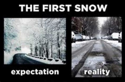 The 50 Funniest Winter Memes Of All Time Gallery