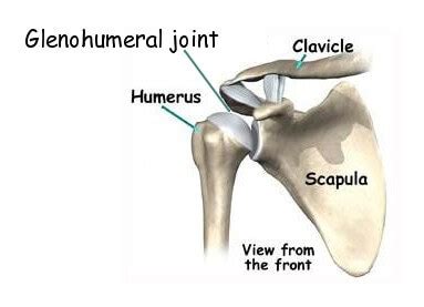I've just switched over to this diagram here and we're looking at the same view, a lateral view of the right shoulder. Shoulder Joint Diagram - Somatic Movement Center
