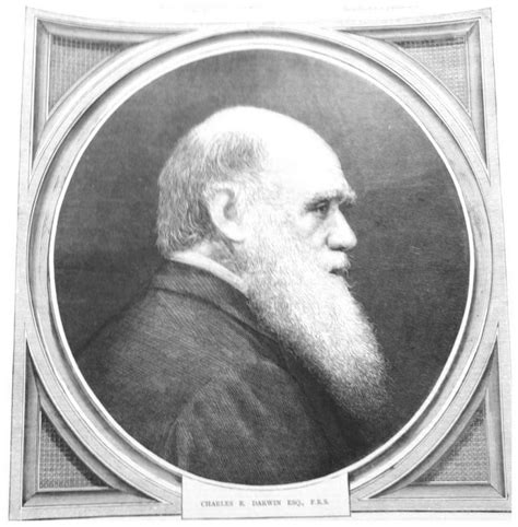 Charles Darwin Engraved Profile 1878 Print Charles Darwin First