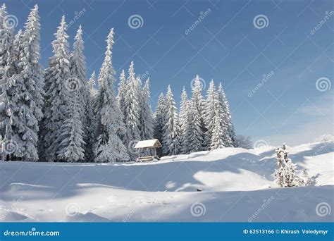Spectacular Winter Landscape Picturesque Morning Nature View In