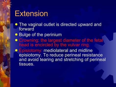 6normal Labordelivery And The Puerperium