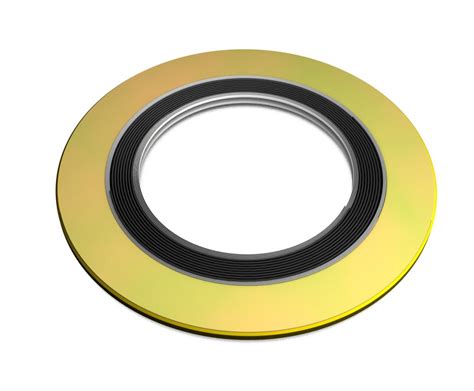 Spiral Wound Gasket Cg Style With Outer Ring Asme B For Asme B Flanges Class Series