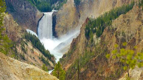 10 Top Things To Do In Yellowstone National Park November 2023 Expedia