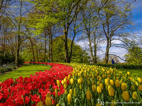 Keukenhof Worlds Largest Flower Garden In Lisse Netherlands A