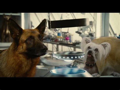 Cats And Dogs The Revenge Of Kitty Galore Trailer 2