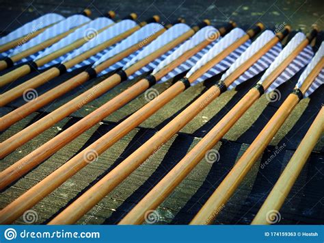 Traditional Archery Wooden Arrow Shafts Stock Image Image Of Fletch
