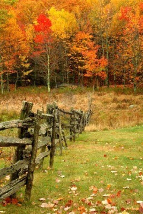 An Old Wooden Fence Leading The Viewer Into The Colorfull Woods During