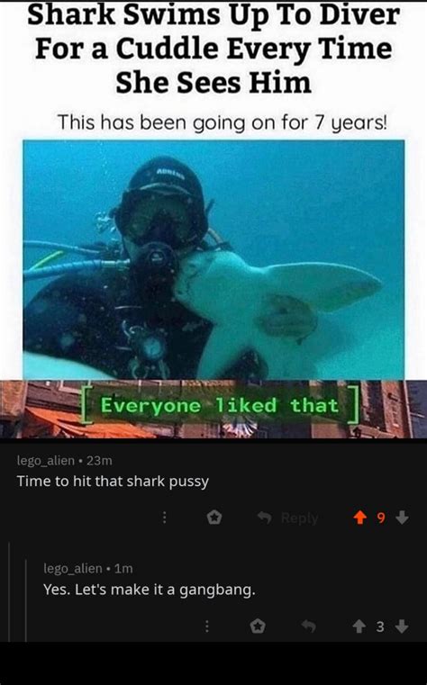 That Damn Shark R Dontputyourdickinthat