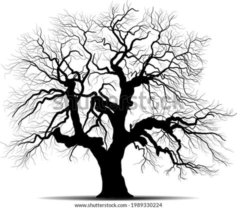 Black Branch Tree Naked Trees Silhouettes Stock Vector Royalty Free Shutterstock