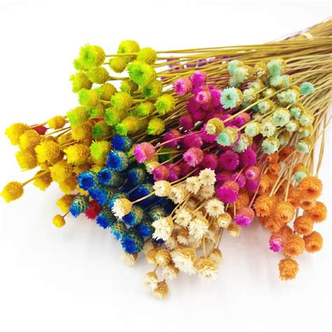 Maybe you would like to learn more about one of these? 200 Denisfen Decorative Dried Flowers Mini Natural Dried ...