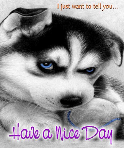 Have A Nice Day Ecard Just For You Free Have A Great Day Ecards 123